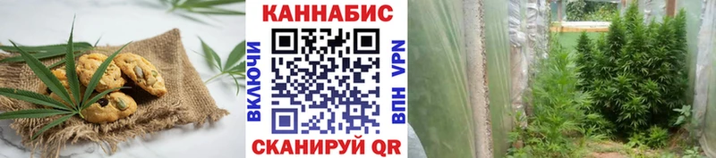 Купить  Кропоткин  Печенье с ТГК конопля 