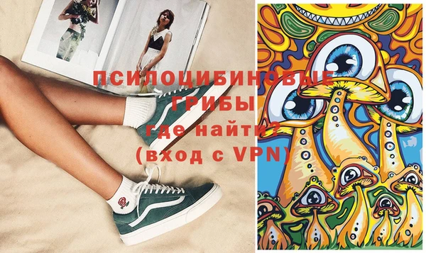ECSTASY Липки